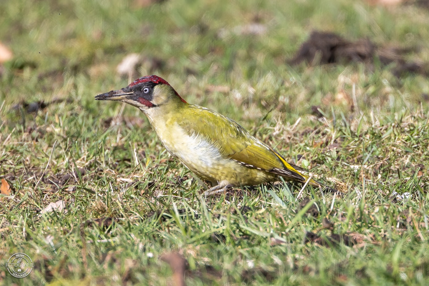 11 maart 2023 141808 1R2A0919 bewerkt